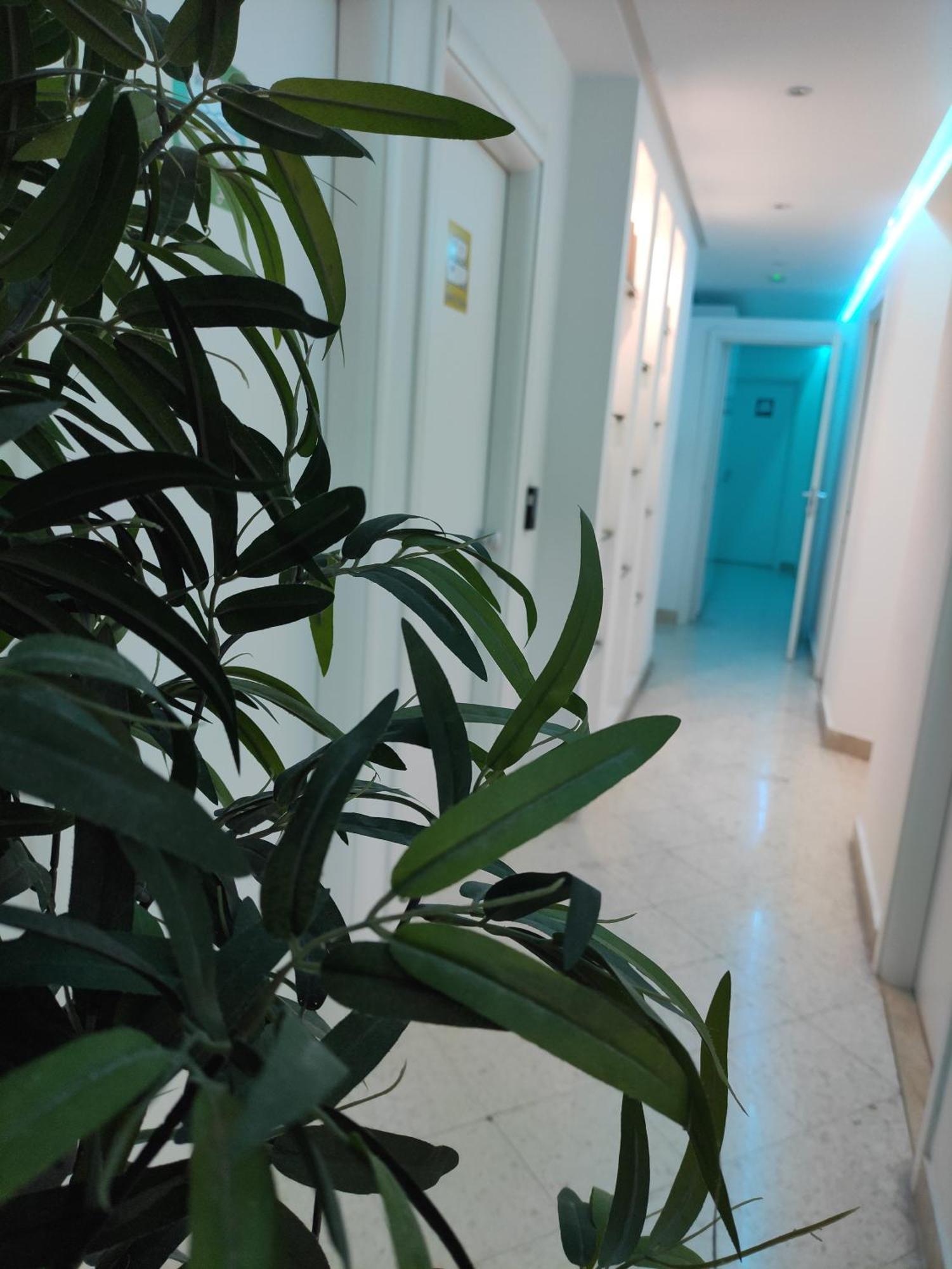 Palermo Central B&B 外观 照片